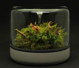 (Category: ) located in . Submitted by aquamaniacs (Listing ID 1210958107, Image 1). Description: .