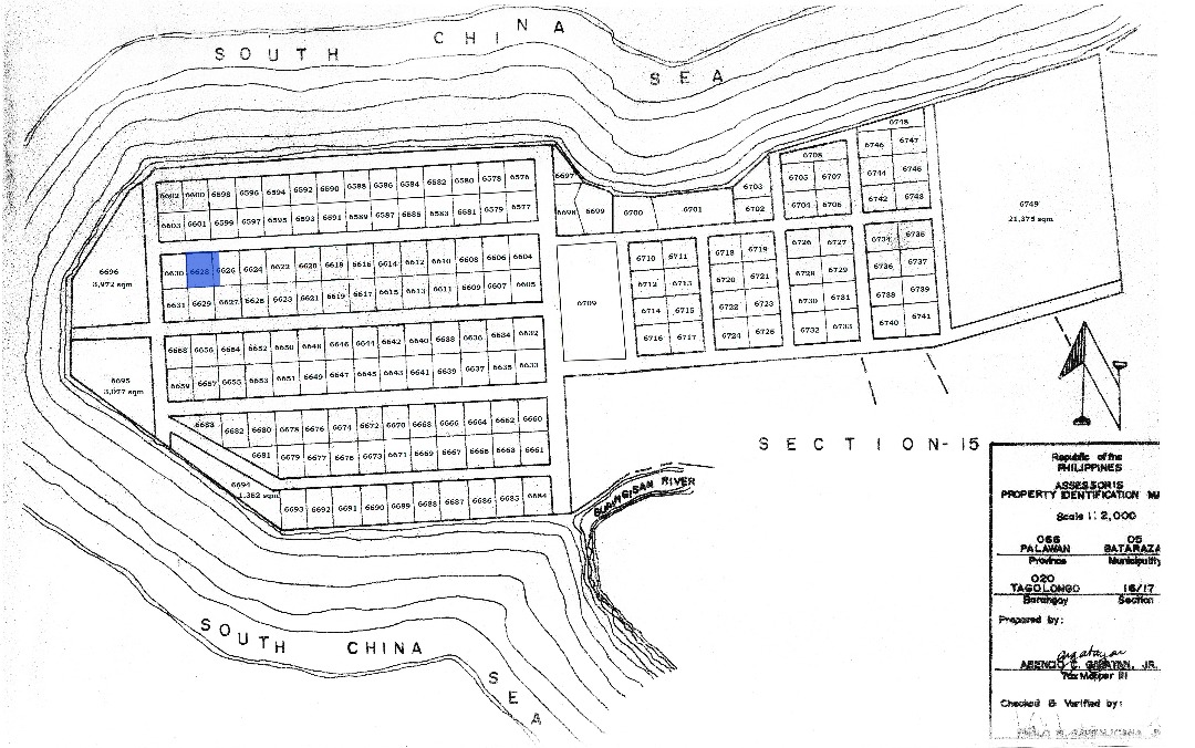 350sqm Palawan Beachfront Lot for Sale Rush Tagolango 1 Bataraza