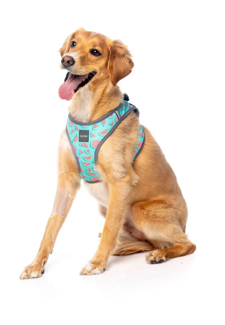 Fuzzyard harness size cheap