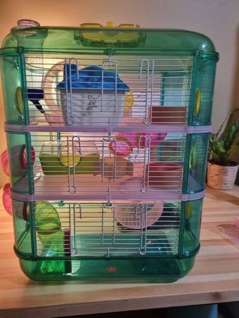 Hamster cage Pet Supplies Homes Other Pet Accessories on Carousell