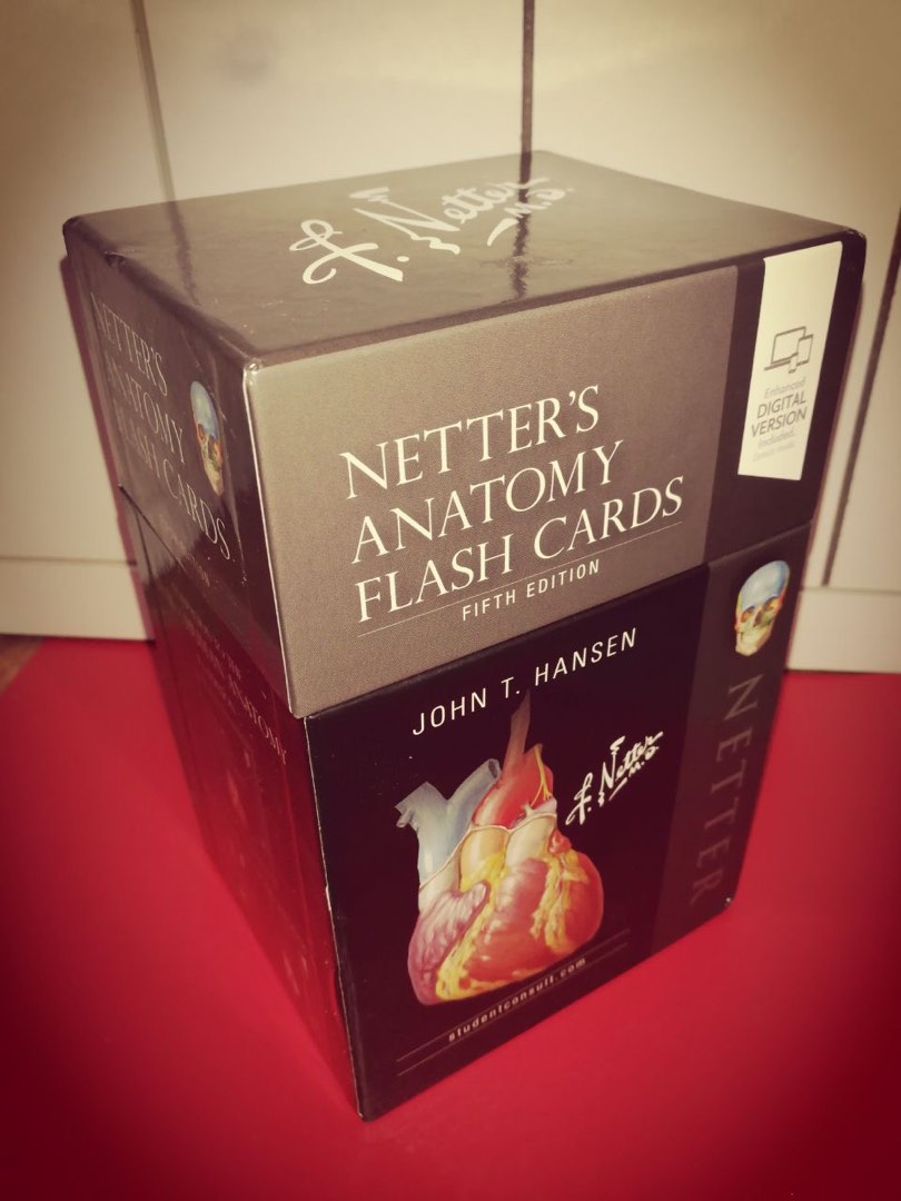 Netter Anatomy Flashcards 5th Edition, Hobbies & Toys, Books