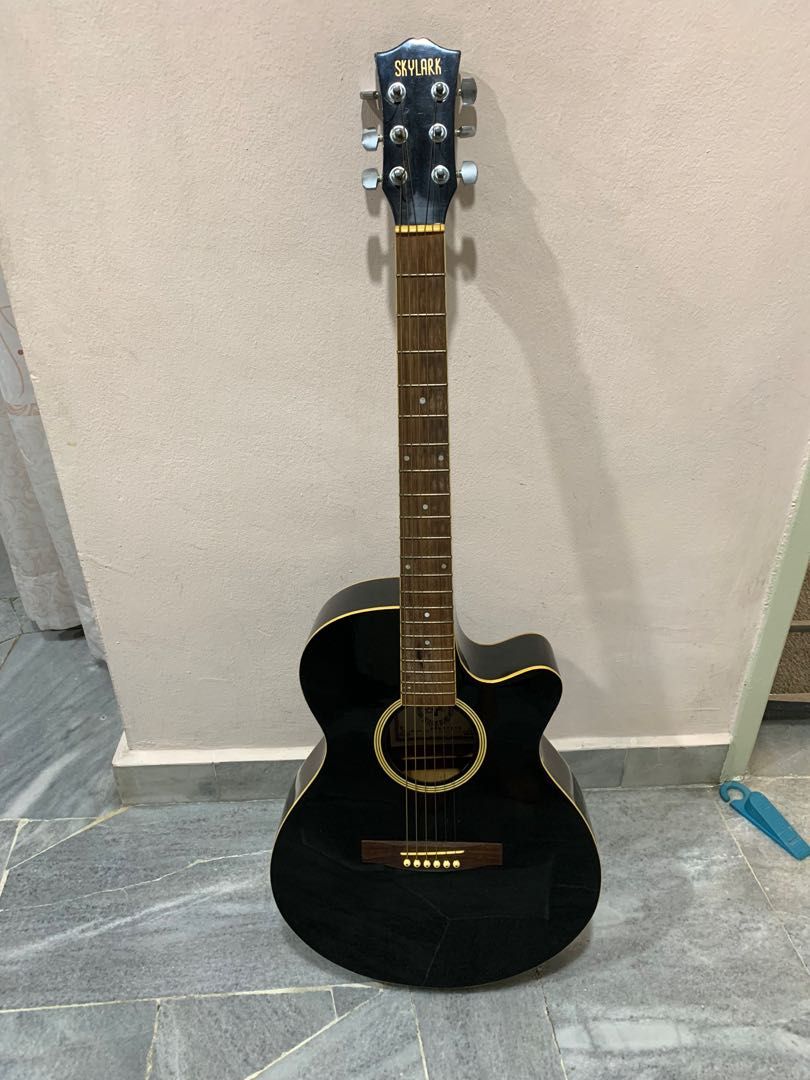 Skylark Acoustic Guitar with Mic Pickup