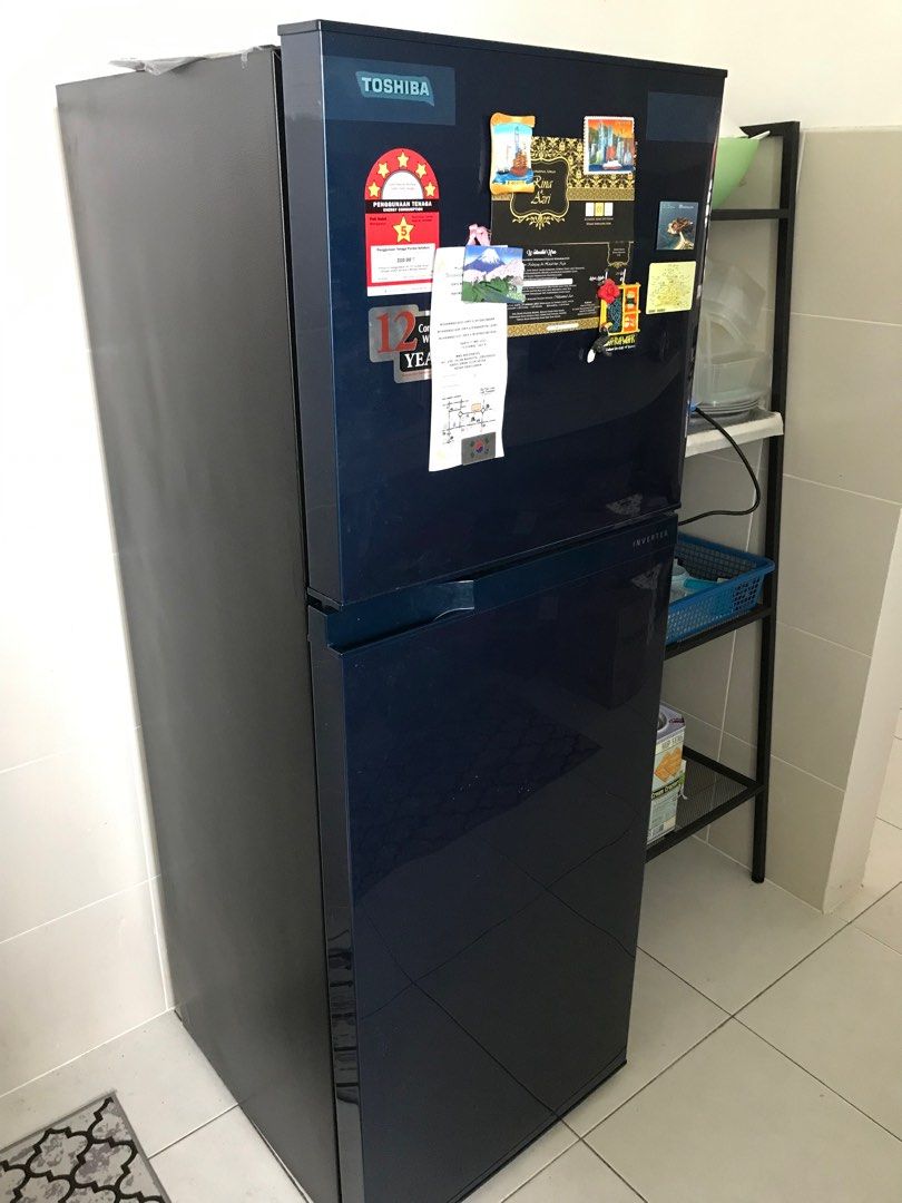 Toshiba 2 pintu jimat elektrik, TV & Home Appliances, Kitchen