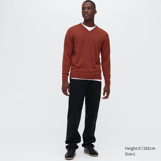 Uniqlo men's discount v neck sweater