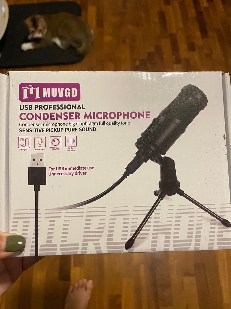 Usb Condensor USB Condensor Microphone, Audio, Microphones on Carousell