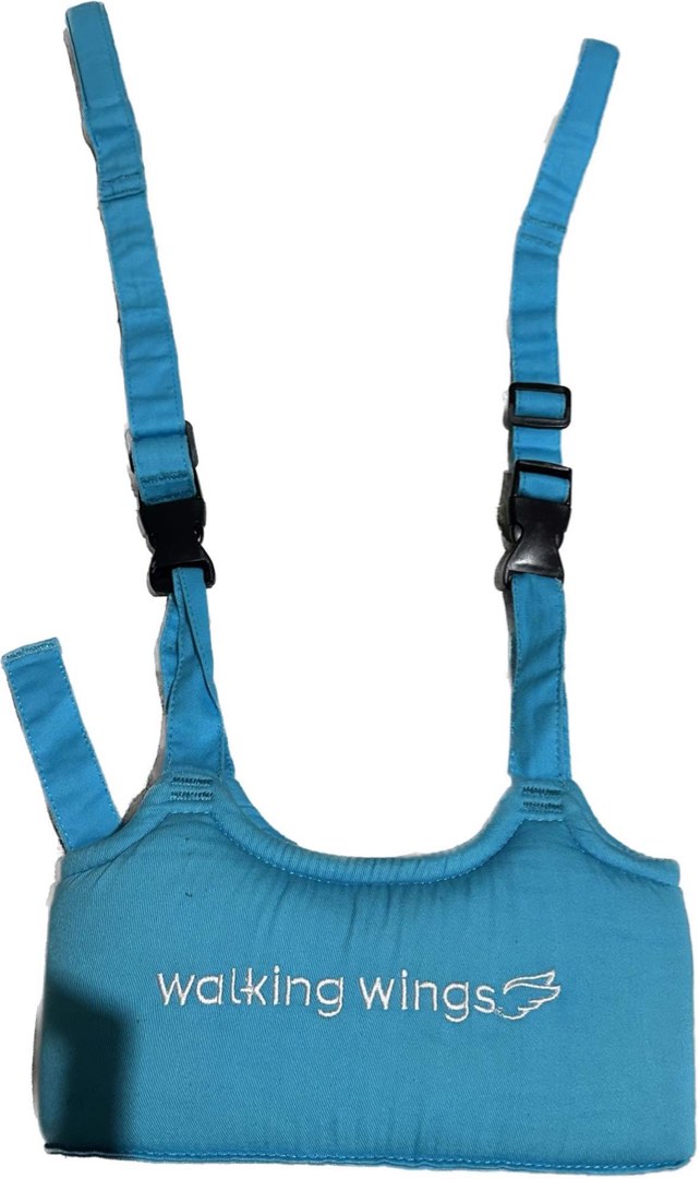 Walking Wings, Babies & Kids, Infant Playtime on Carousell