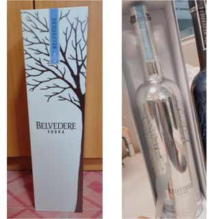 Belvedere Limited Edition Bespoke Silver Saber