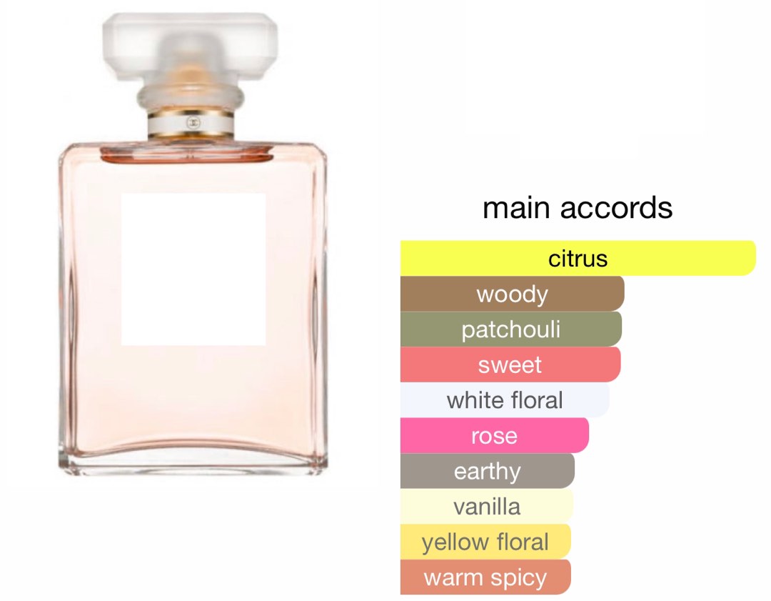 Bau perfume chanel on sale coco mademoiselle