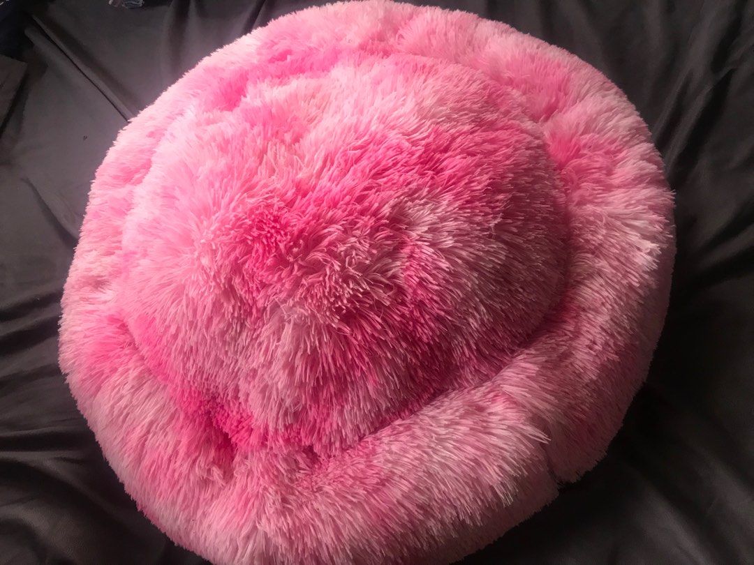 Daiso sale dog bed