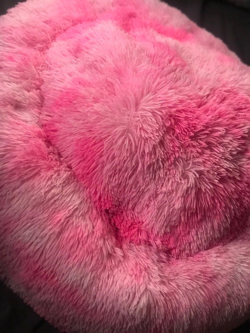 Daiso dog bed 2025