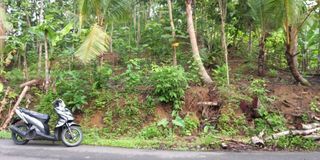 Di Jual Cepat Tanah 1.291 m²  Di Karang Pucung - Cilacap