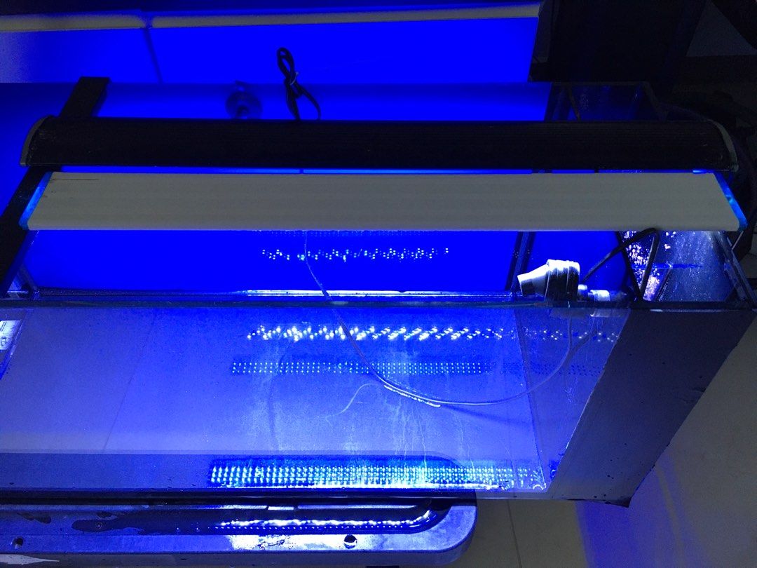 innovative marine sump