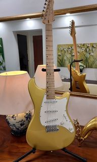6 String Electric Guitar. Stratocaster. True Single Coil. WTS/WTT.  John page Ash burn.
