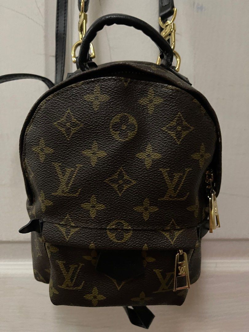 Louis Vuitton Palm Spring mini backpack, Women's Fashion, Bags