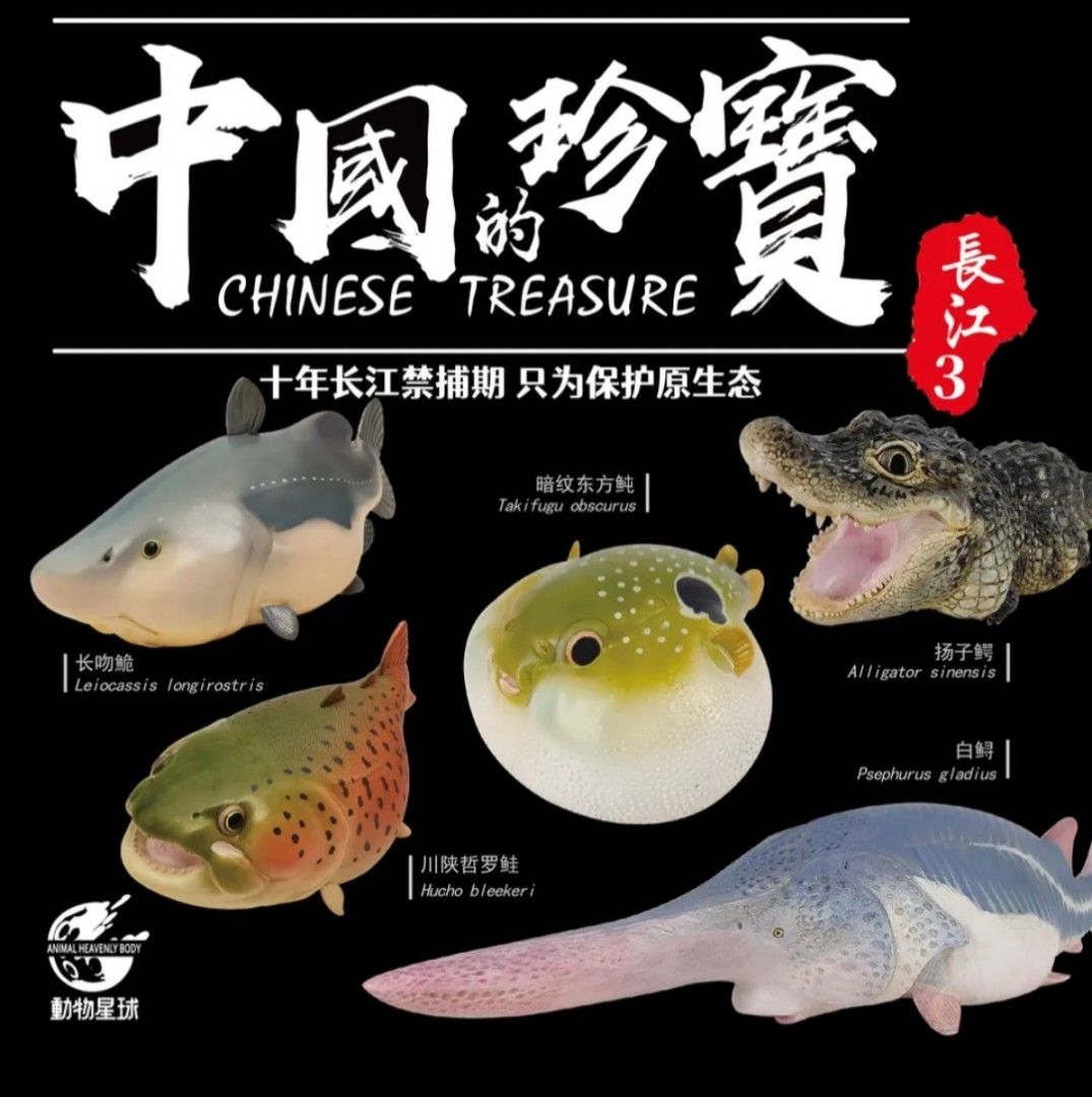 PO] Animal Planet Studios a series of laugh and grow fat chinese treasures  animals blind box animal realistic model figure cute puffer fish caiman  alligator sturgeon paddle fish shark salmon, Hobbies &