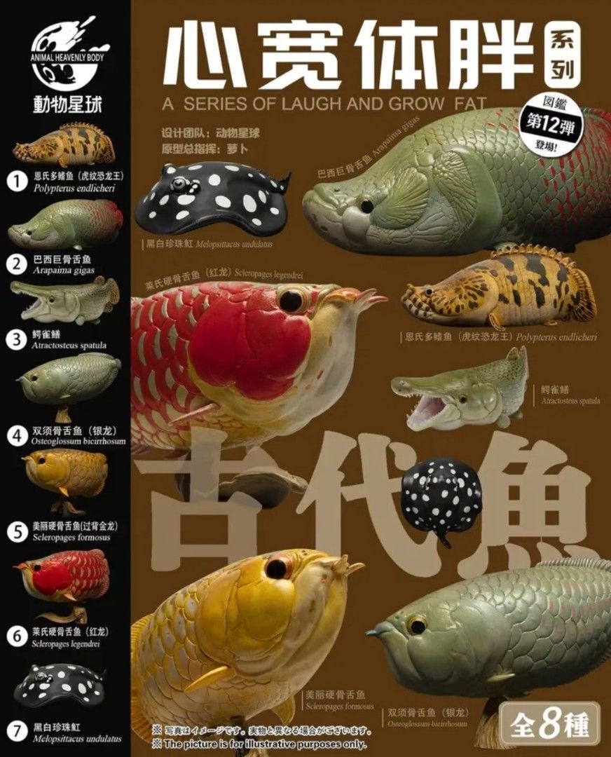 PO] Animal Planet Studios a series of laugh and grow fat chinese treasures  animals blind box animal realistic model figure cute arapaima black diamond  stingray arowana bichir alligator gar, Hobbies & Toys,
