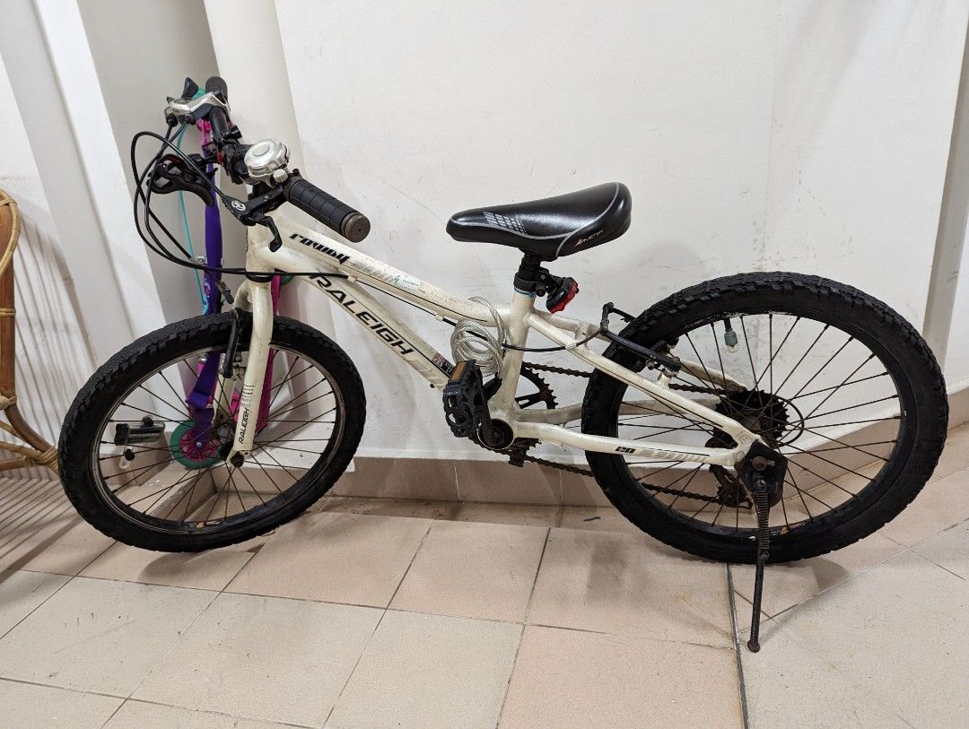 Raleigh rowdy store bike