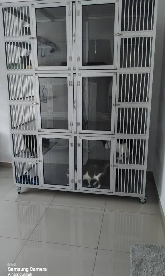 Sangkar Kucing Cat Hotel/Boarding, Pet Supplies, Homes & Other Pet