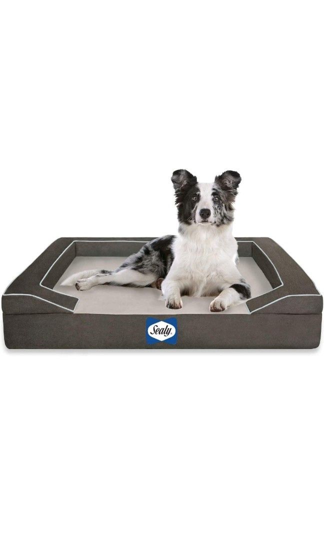 Sealy lux premium shop orthopedic dog bed