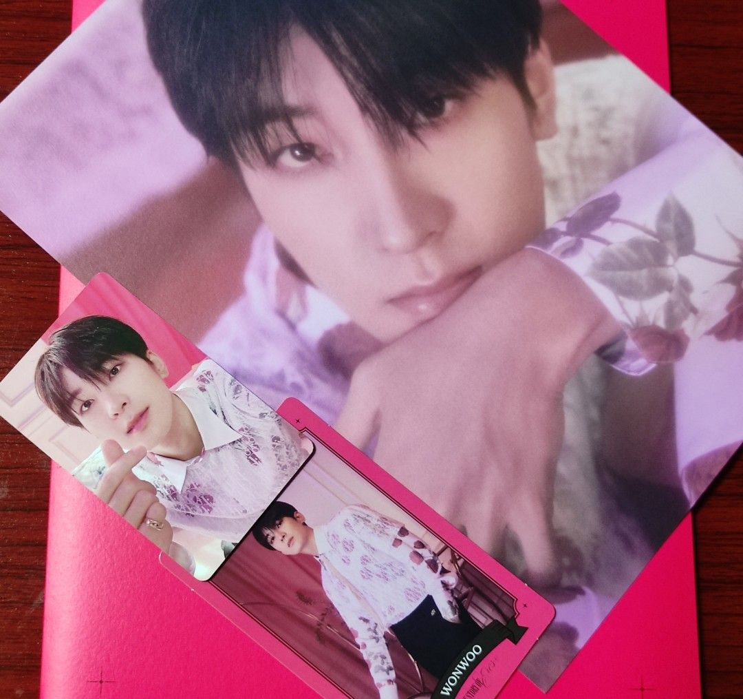 SEVENTEEN Seasons Greetings 2023 Member Set, Hobbies & Toys