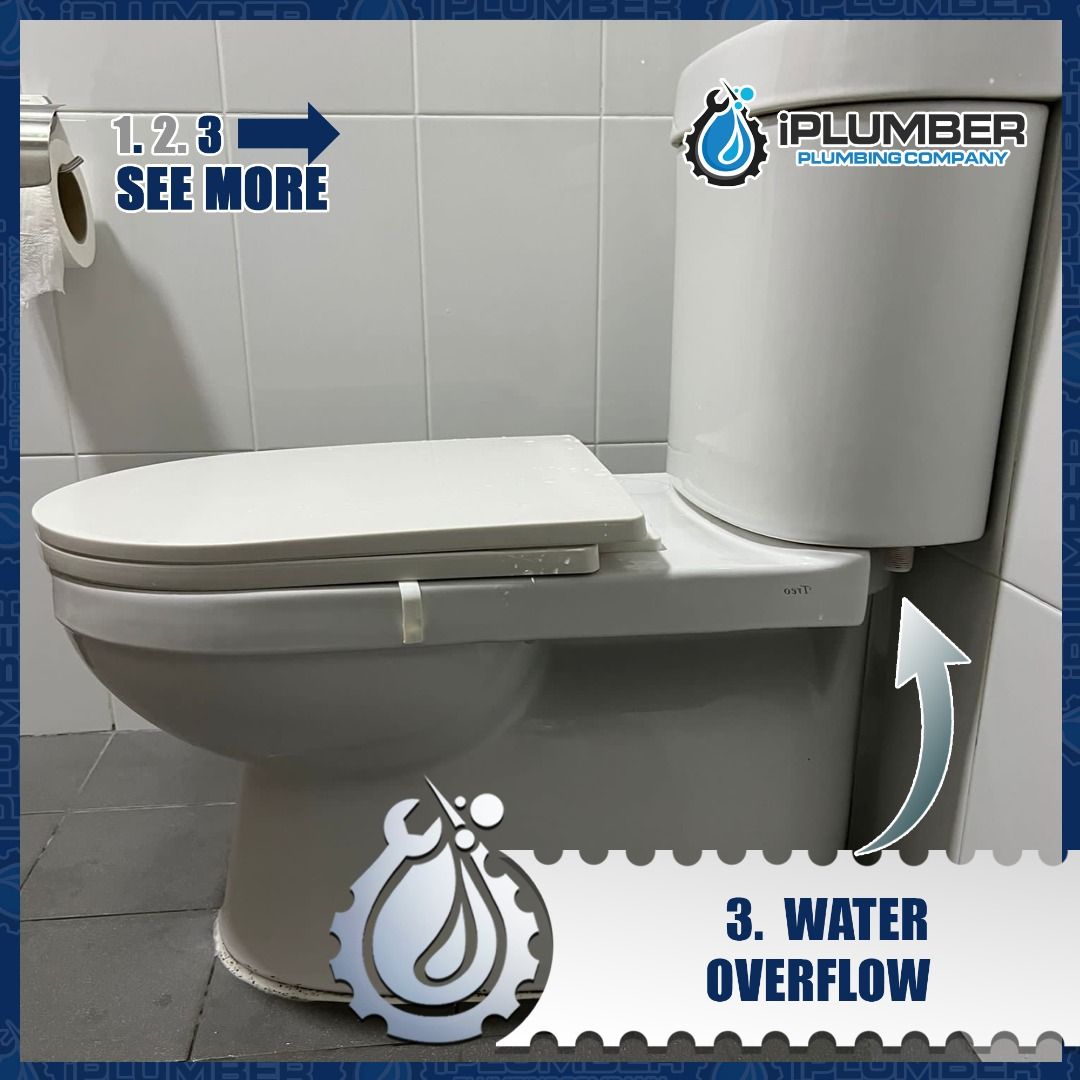 Plumber, toilet tank cistern flushing system, toilet bowl leak and water control valve system