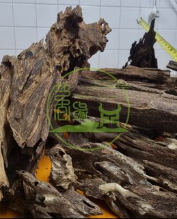 (Category: ) located in . Submitted by THEAGARWOOD (Listing ID 1211262859, Image 1). Description: .