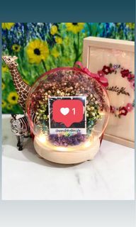 24/7 Valentine’s day Rainbow Baby Breath Flower LED Globe