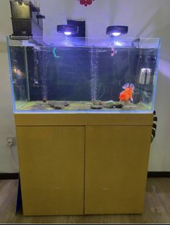 (Category: ) located in . Submitted by densam712 (Listing ID 1211517810, Image 1). Description: .