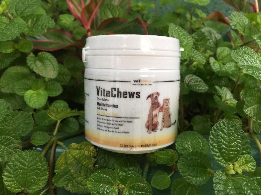 Vitachews for dogs outlet