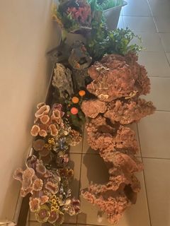 (Category: ) located in . Submitted by colettekent2 (Listing ID 1211378891, Image 1). Description: .