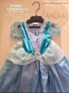 Cinderella Princess Dress/ Gown/ Costume