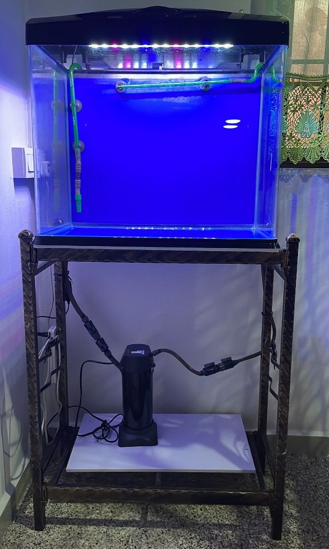 Fish tank and stand (2 feet), Pet Supplies, Homes & Other Pet