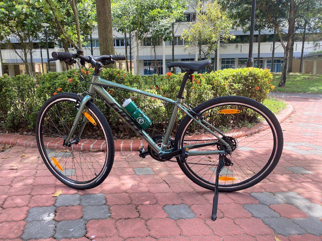 Giant cycle for sale online