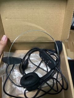 Headset with Mic