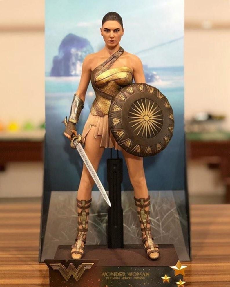 Hot toys wonder woman hot sale training armor