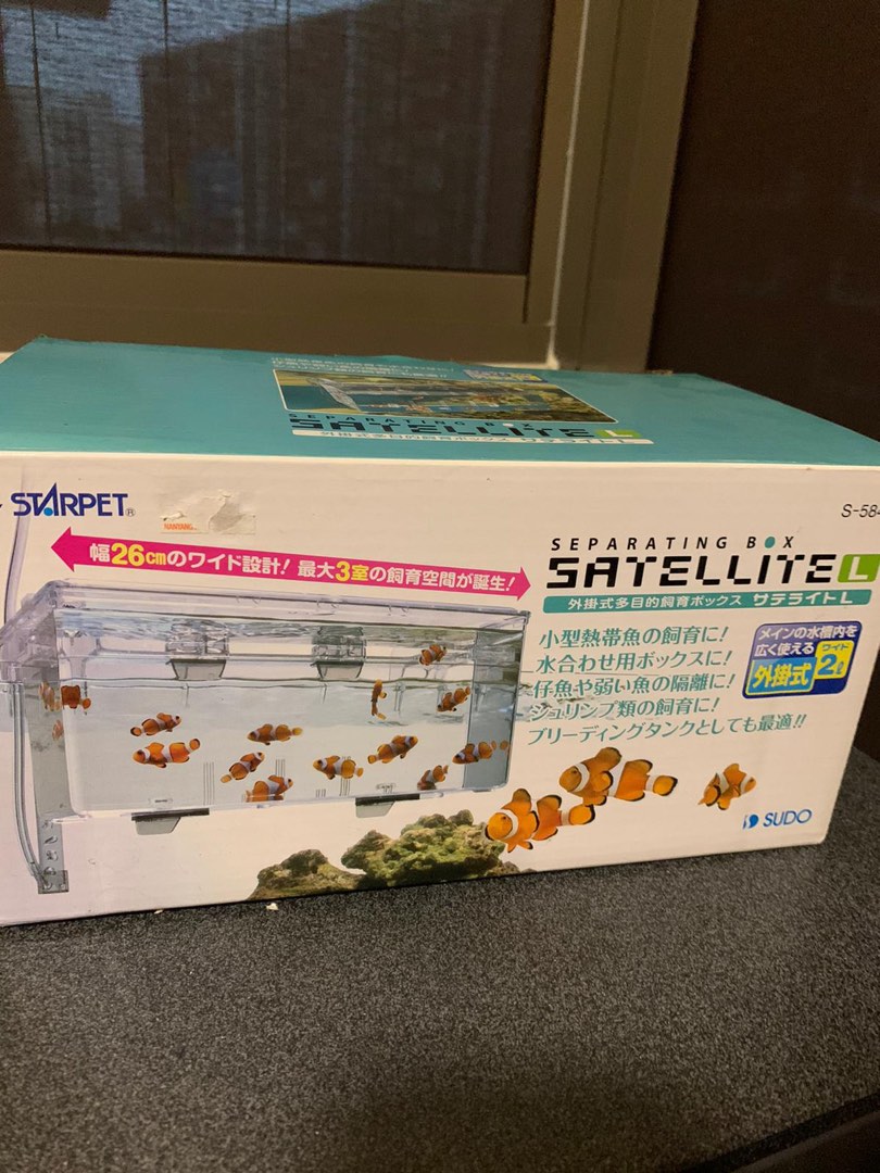 Isolation Fish Tank, Pet Supplies, Homes & Other Pet Accessories on