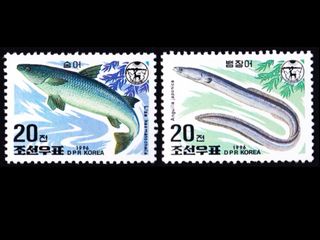（分類：）位於 。 由 eieibibi 提交（商品編號 1211518343，圖片 1）。簡介： 。