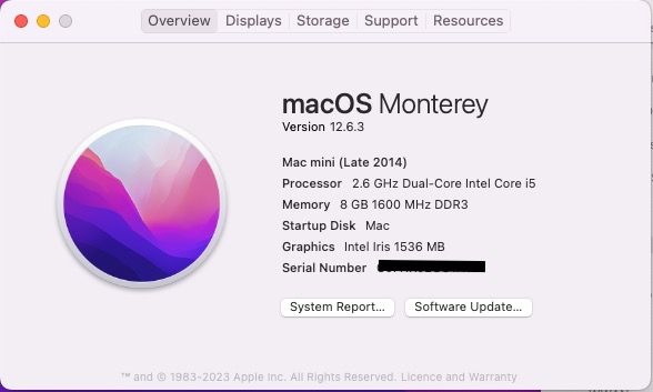 Mac mini 2014 i5 16GB 新品SSD 1TB Dual OS-