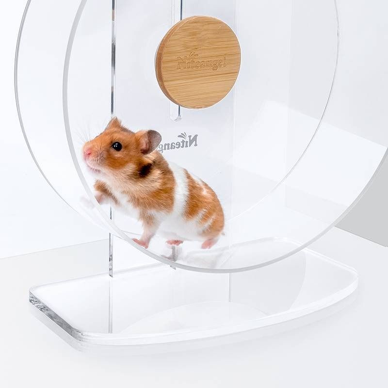 Running wheel hot sale for hamster