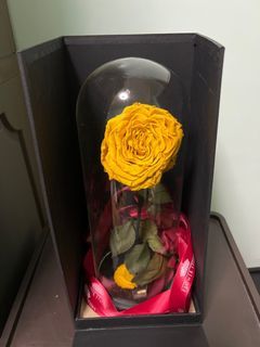 Perfect for Valentines