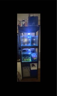 (Category: ) located in . Submitted by yellow_fellow (Listing ID 1211536210, Image 1). Description: .