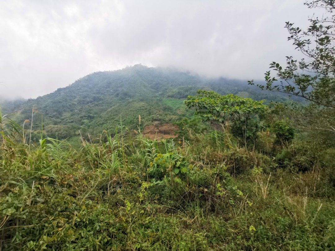 Tuba Benguet Lots for Sale inside village 15 mins to Baguio City