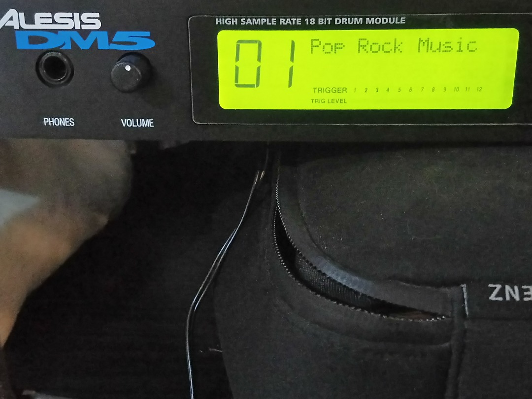 ALESIS DM5 Drum Module, gate/trig to MIDI convertor, 興趣及遊戲, 音樂樂器 & 配件