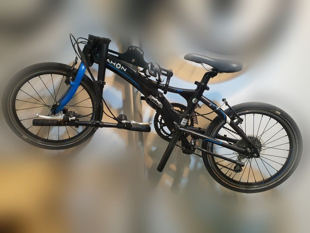 Dahon visc 2025 p18