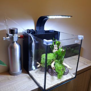 （分類：）位於 。 由 we.co2.ltd 提交（商品編號 1211669344，圖片 1）。簡介： 。