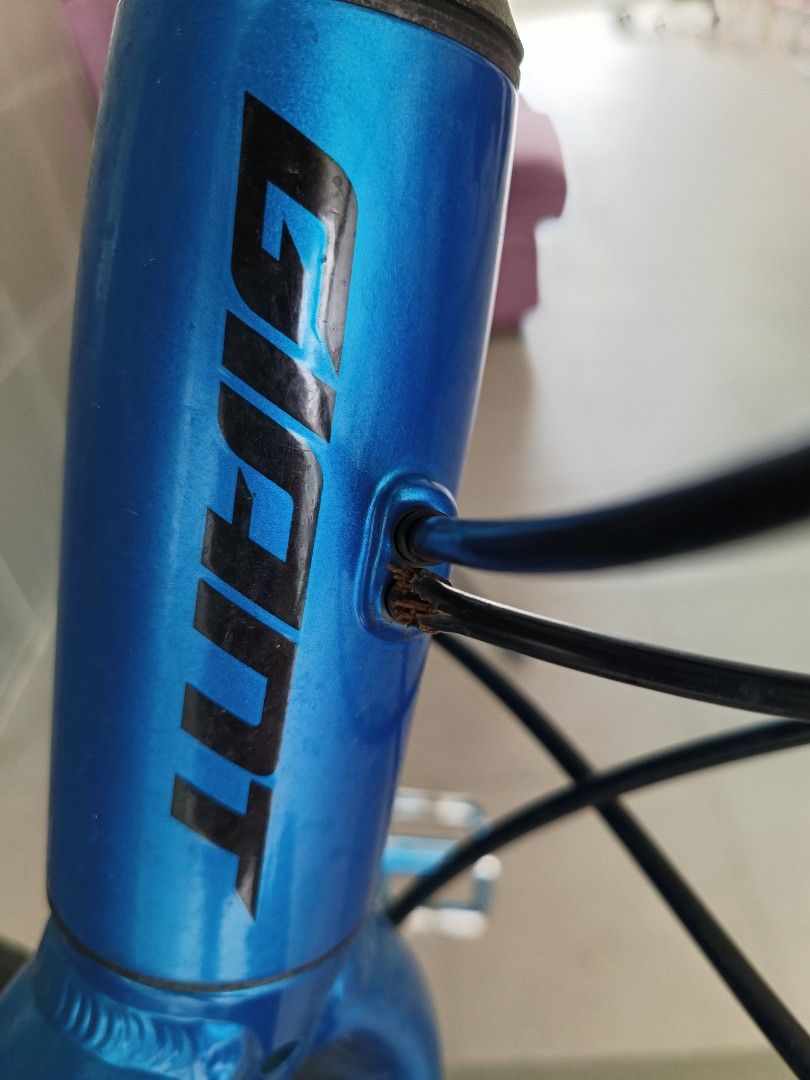 Giant Escape 1 Disc Blue, Sports Equipment, Bicycles & Parts, Bicycles