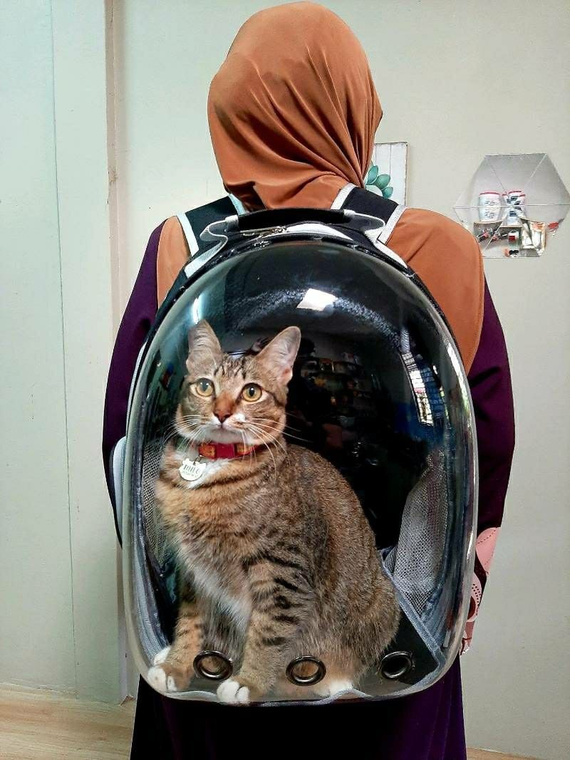Carrier bag untuk kucing clearance