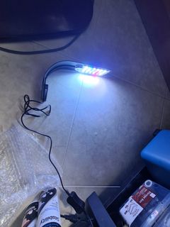 (Category: ) located in . Submitted by pek.jiawei (Listing ID 1211555399, Image 1). Description: .