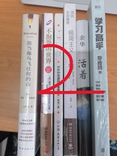 New Chinese Book (中文书)：你当像鸟飞往你的山，不抱怨的世界，低层逻辑，极简主义，活着，学习高手