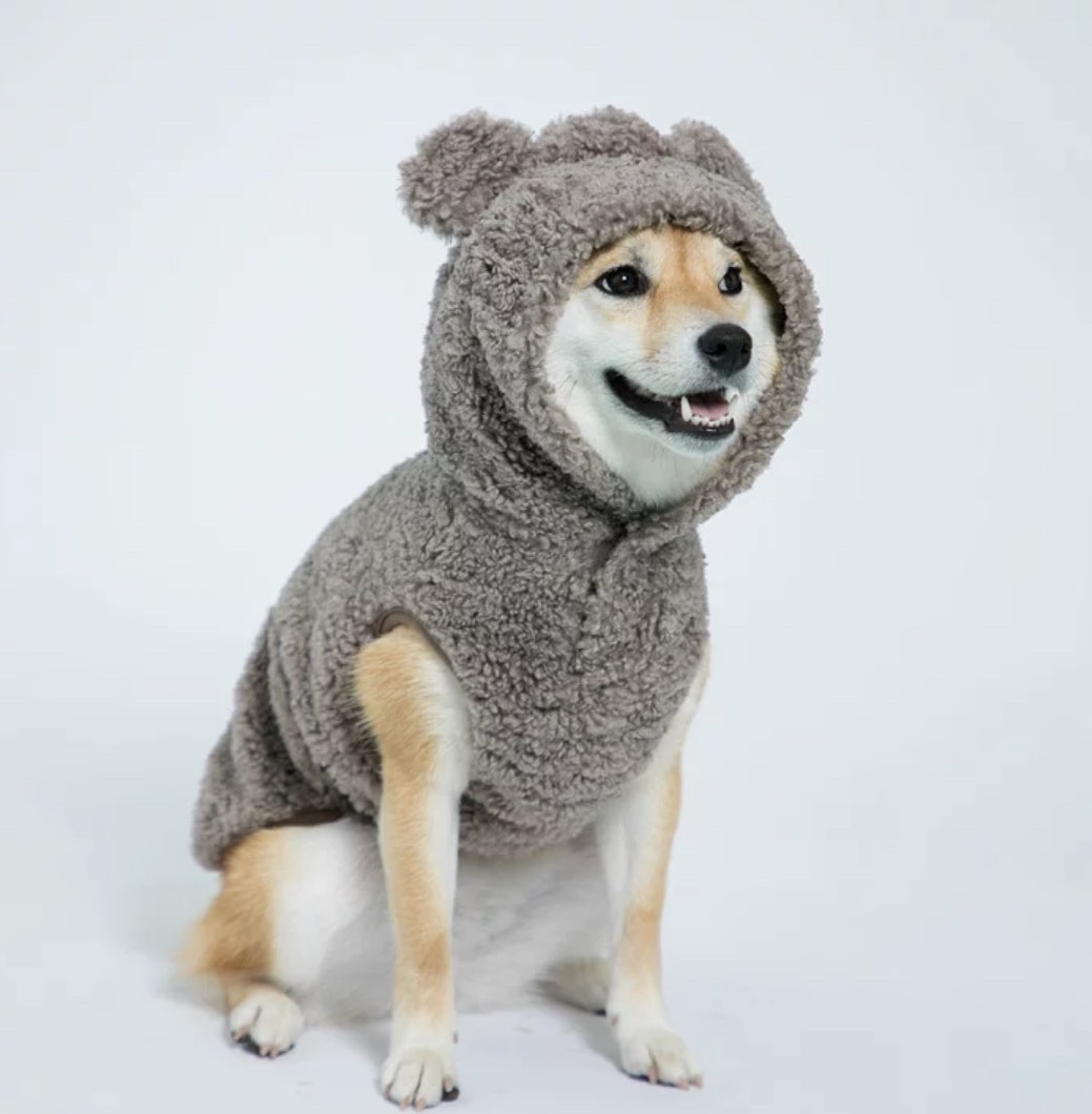 [NEW] Pet costume bought in Japan, Pet Supplies, Homes & Other Pet